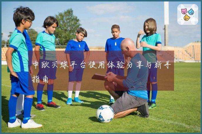 中欧买球平台使用体验分享与新手指南