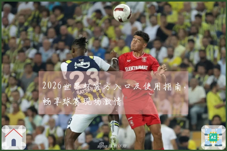 2026世界杯官方入口及使用指南，畅享球赛现场激情