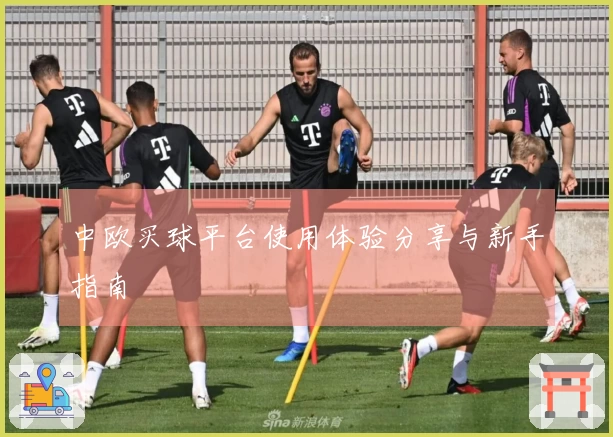 中欧买球平台使用体验分享与新手指南