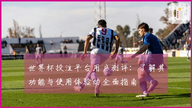 世界杯投注平台用户测评：了解其功能与使用体验的全面指南