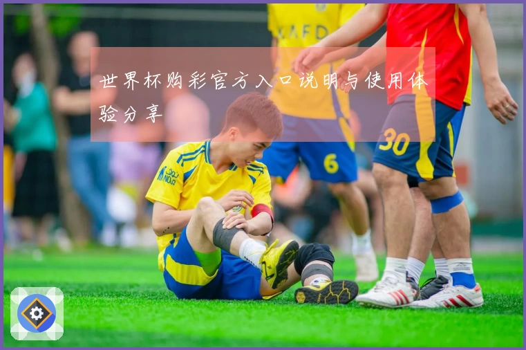 世界杯购彩官方入口说明与使用体验分享